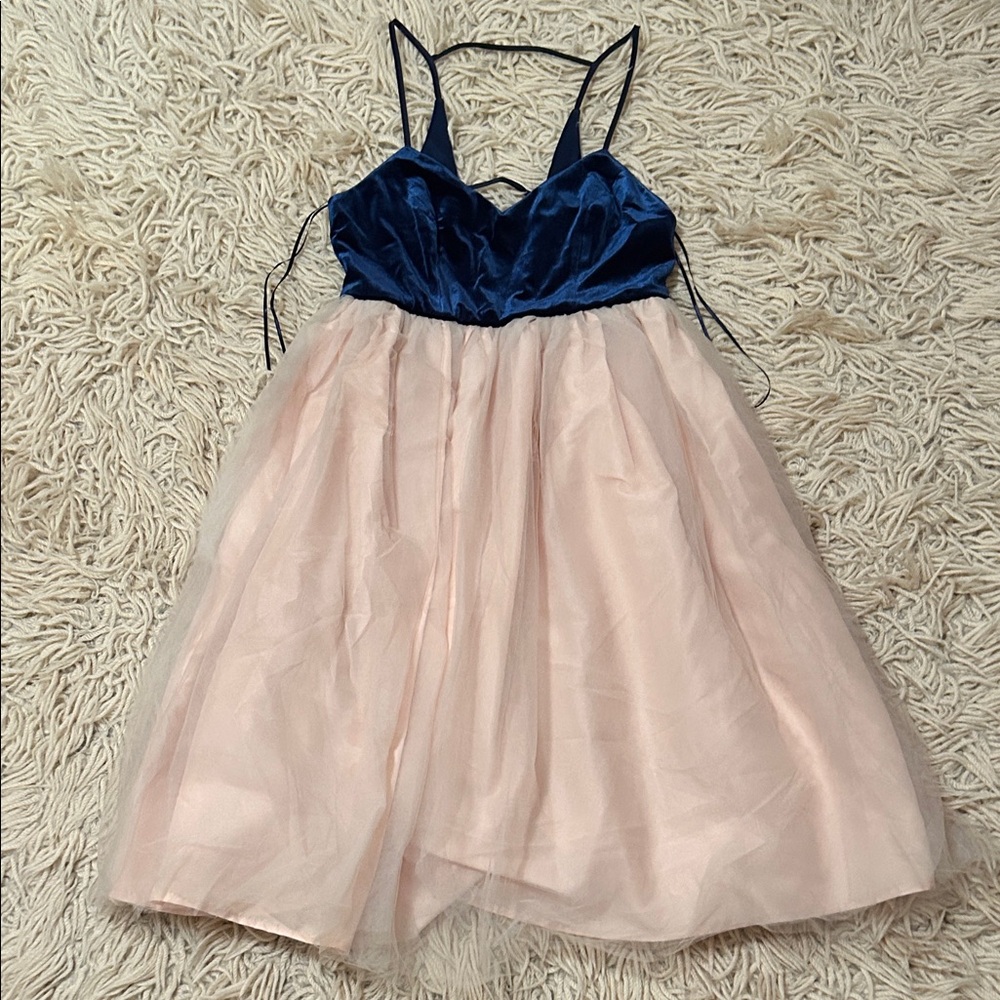 LC Runway velvet and tulle Dress
